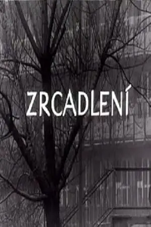 Zrcadleni (1966)