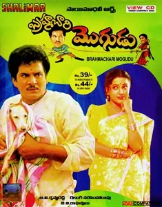 Brahmachari Mogudu (1994)