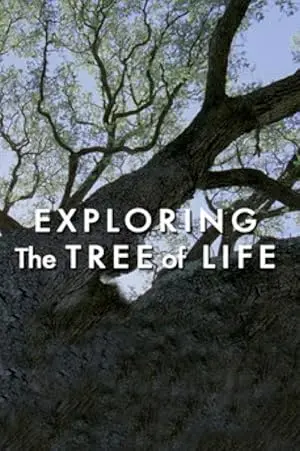 Exploring 'The Tree Of Life' (2011)