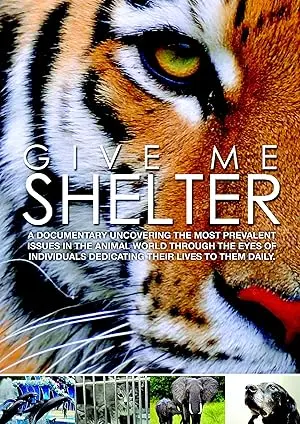 Give Me Shelter (2014)