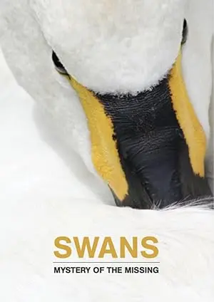 Swans: Mystery Of The Missing (2024)