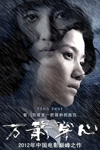 Feng Shui (2012)