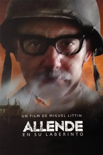 Allende En Su Laberinto (2014)