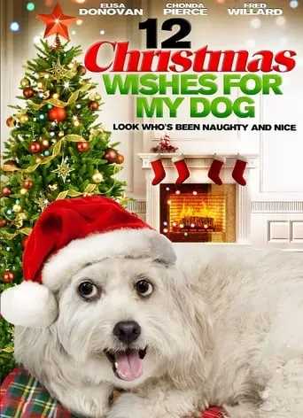 12 Wishes Of Christmas (2011)