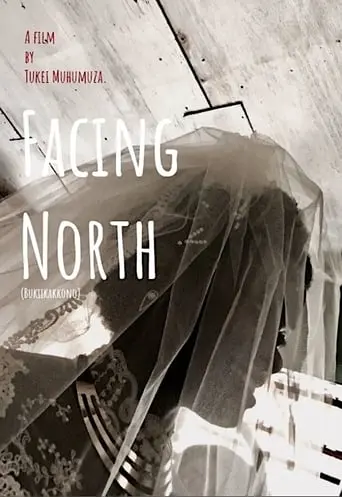 Facing North (2018)