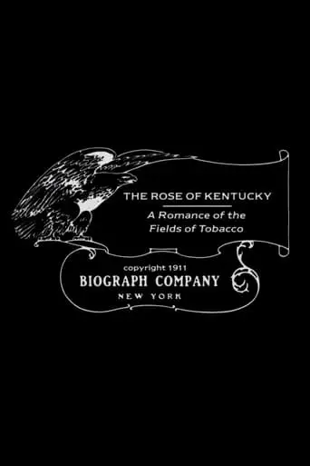 The Rose Of Kentucky (1911)