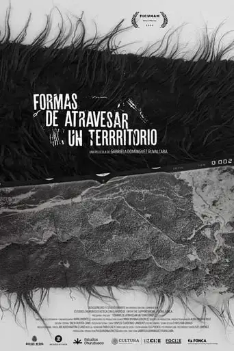 Formas De Atravesar Un Territorio (2024)