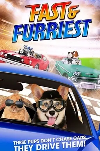 Fast And Furriest (2017)