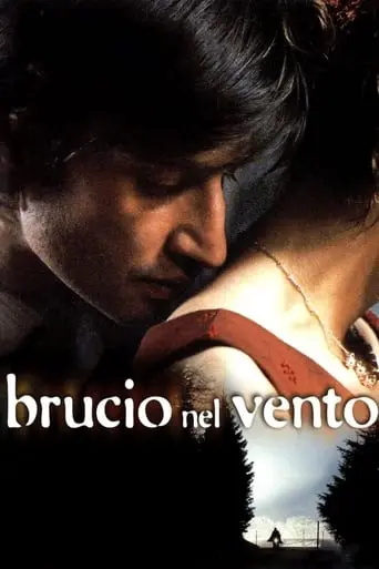 Brucio Nel Vento (2002)