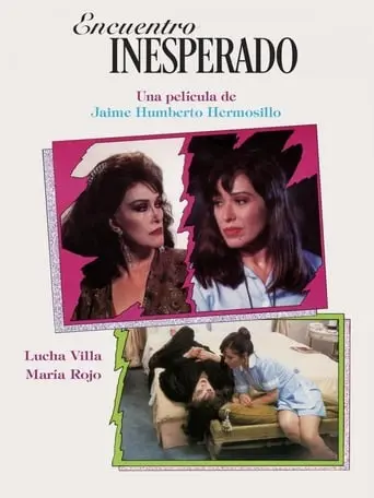 Encuentro Inesperado (1993)