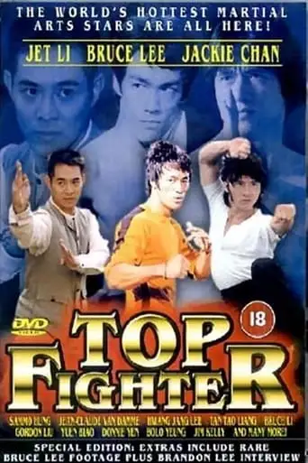 Top Fighter (1995)