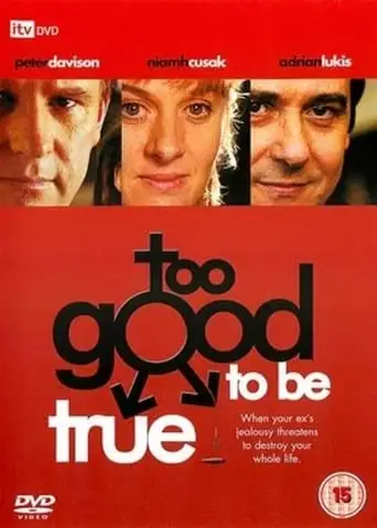 Too Good To Be True (2003)