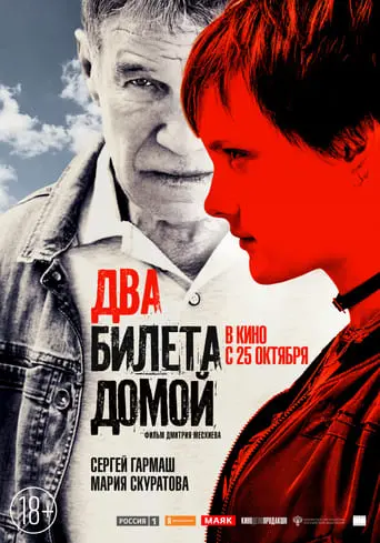 Dva Bileta Domoy (2018)