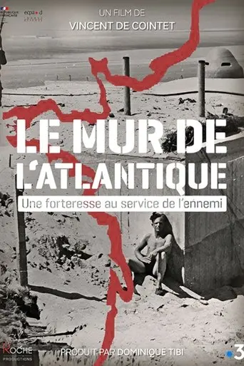 Le Mur de l'Atlantique, une forteresse au service de l'ennemi (2024)