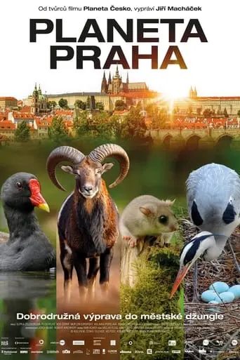 Planeta Praha (2022)