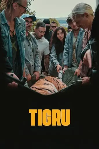 Tigru (2024)