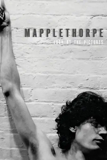 Mapplethorpe: Look At The Pictures (2016)