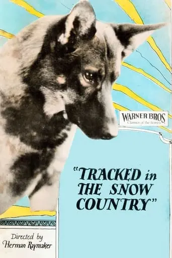 Tracked In The Snow Country (1925)