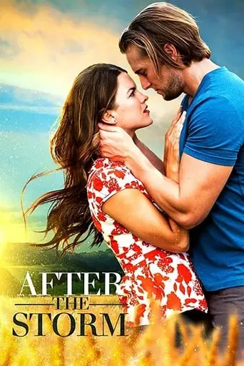 After The Storm (2019)