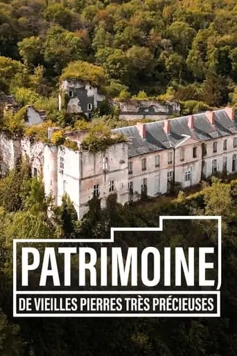 Patrimoine, De Vieilles Pierres Tres Precieuses (2023)