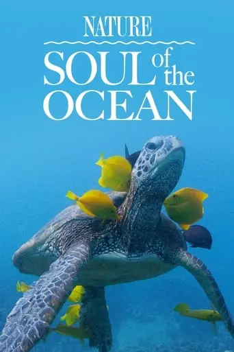 Soul Of The Ocean (2023)