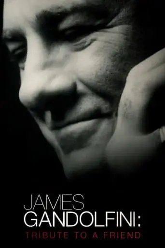 James Gandolfini: Tribute To A Friend (2013)