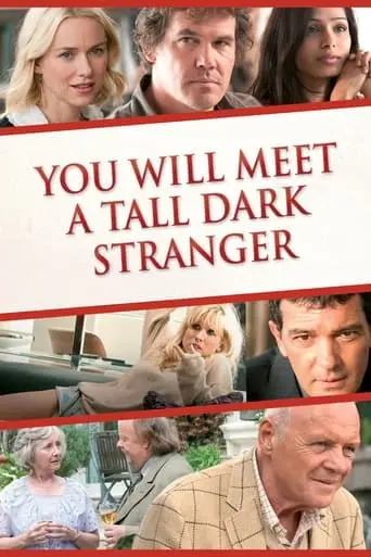 You Will Meet A Tall Dark Stranger (2010)