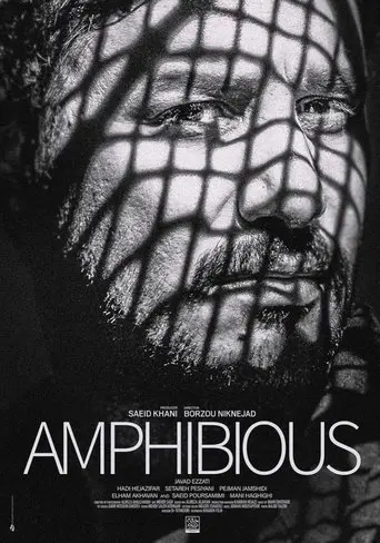 Amphibious (2020)