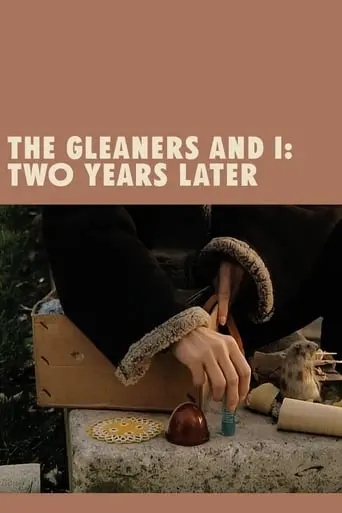 The Gleaners And I: Two Years Later (2002)