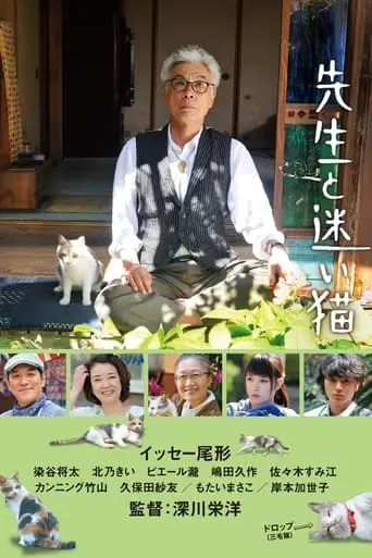 Teacher And Stray Cat (2015)