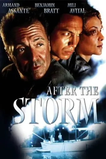 After The Storm (2001)