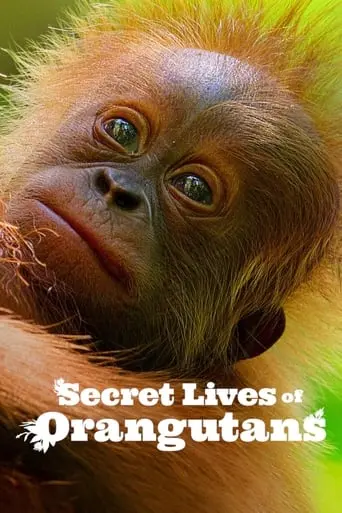 Secret Lives Of Orangutans (2024)