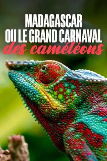 Madagascar Ou Le Grand Carnaval Des Cameleons (2024)