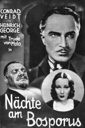 Der Mann, Der Den Mord Beging (1931)