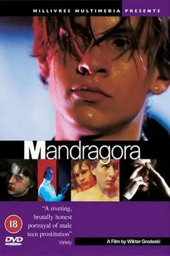 Mandragora (1997)