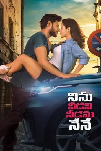 Ninnu Veedani Needanu Nene (2019)