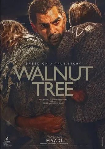 Walnut Tree (2020)