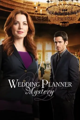 Wedding Planner Mystery (2014)