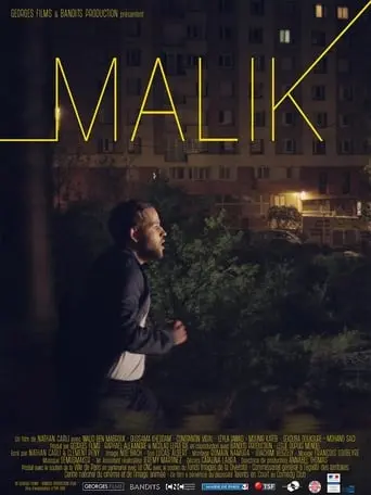 Malik (2018)