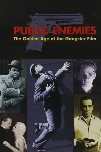 Public Enemies: The Golden Age Of The Gangster Film (2008)