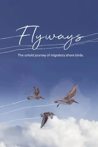 Flyways: The Untold Journey Of Migratory Shorebirds (2023)