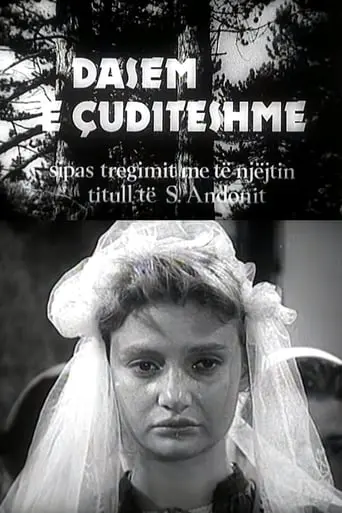 Dasem E Cuditeshme (1986)