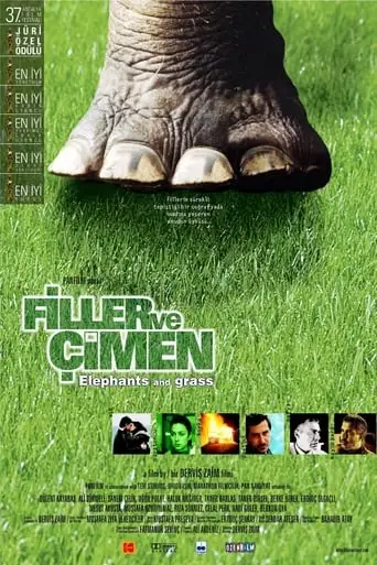 Filler Ve Cimen (2000)