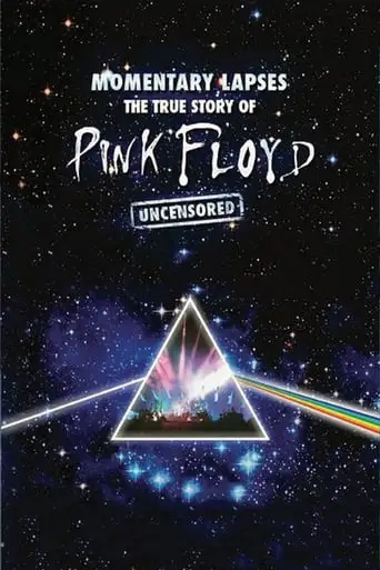 Pink Floyd: Momentary Lapses - The True Story Of Pink Floyd (2010)