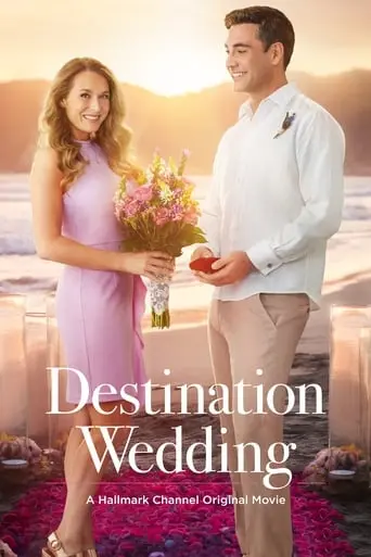 Destination Wedding (2017)