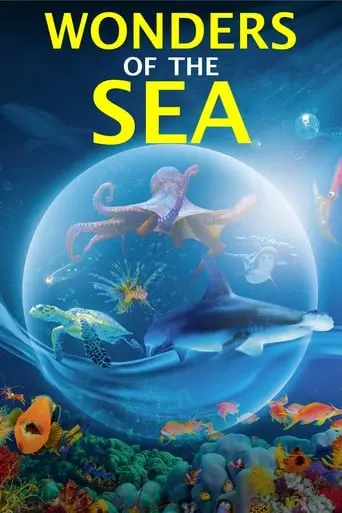 Wonders Of The Sea (2017)