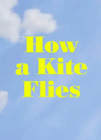 How A Kite Flies (2017)