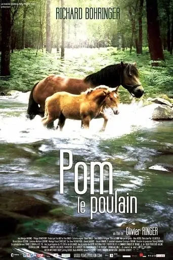 Pom, Le Poulain (2006)