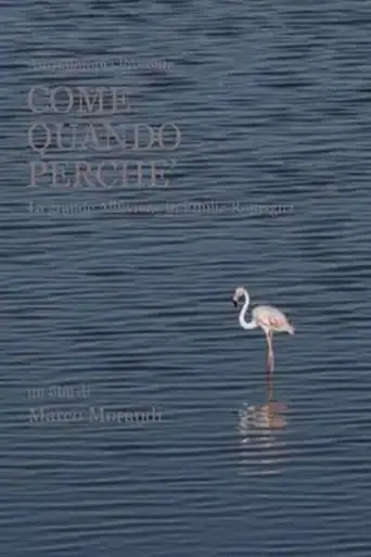 Come Quando Perche (2024)