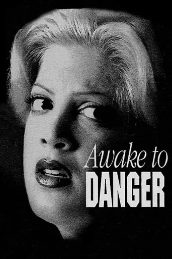 Awake To Danger (1995)